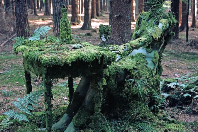 Angolo di foresta a Schnaitsee