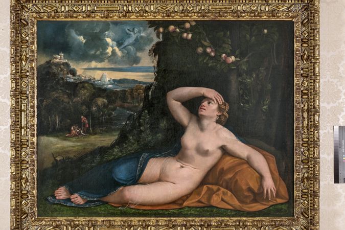 Il risveglio di Venere