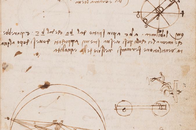 Codice sul volo degli uccelli