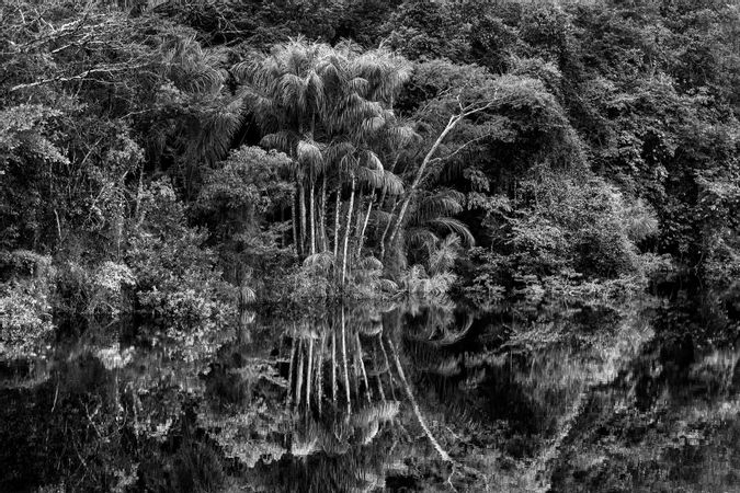 Rio Jaú. Stato di Amazonas, Brasile