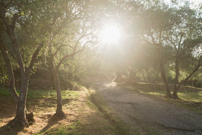 Nel giardino della Pieve dei Santi Nazario e Celso