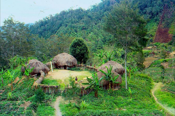 Papua Guinea