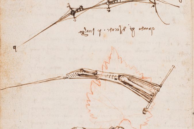 Codice sul volo degli uccelli