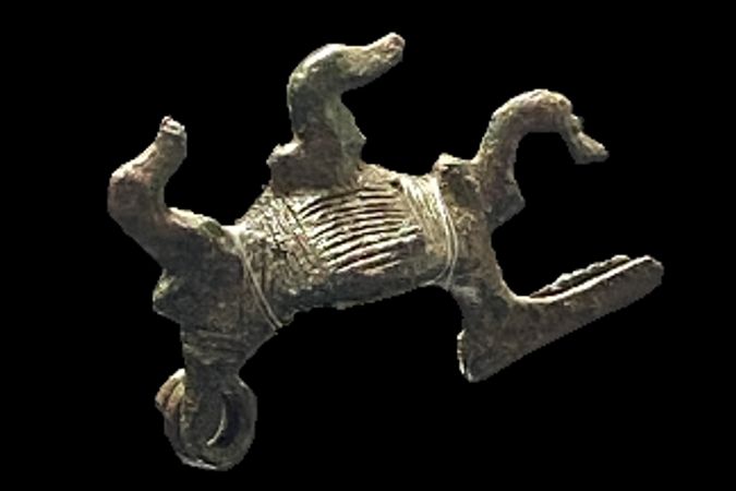 Fibula decorata da anatrelle