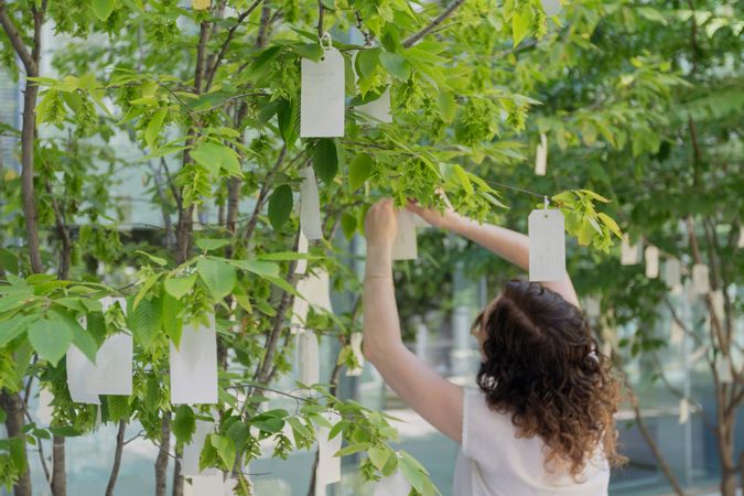 WISH TREE