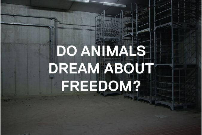 Do animals...