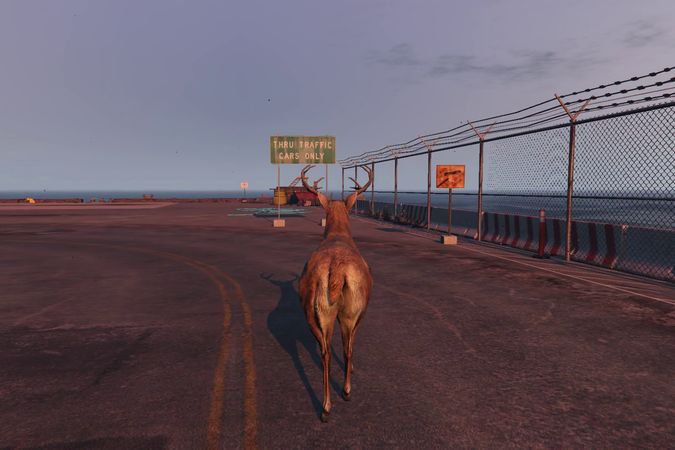 San Andreas Streaming Deer Cam