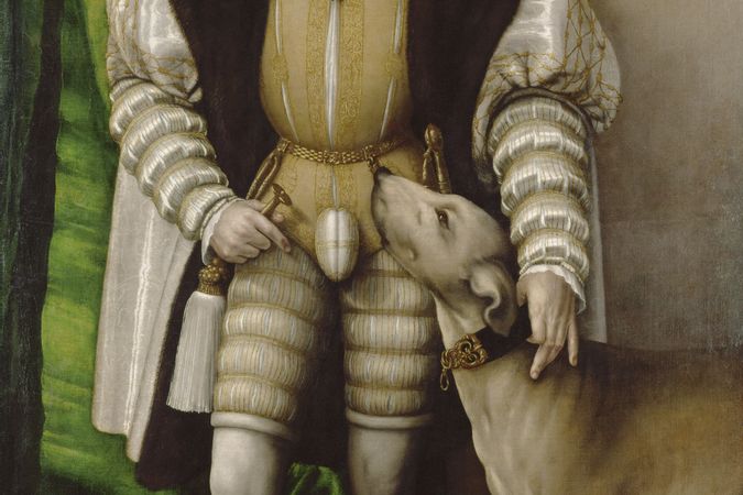 Ritratto di Carlo V con il cane