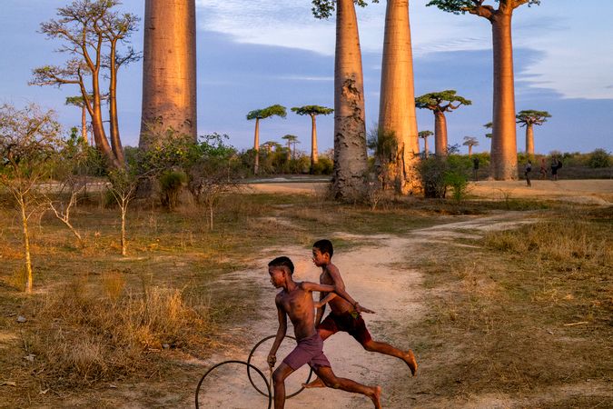 BaoBab Avenue, Morondava, Madagascar