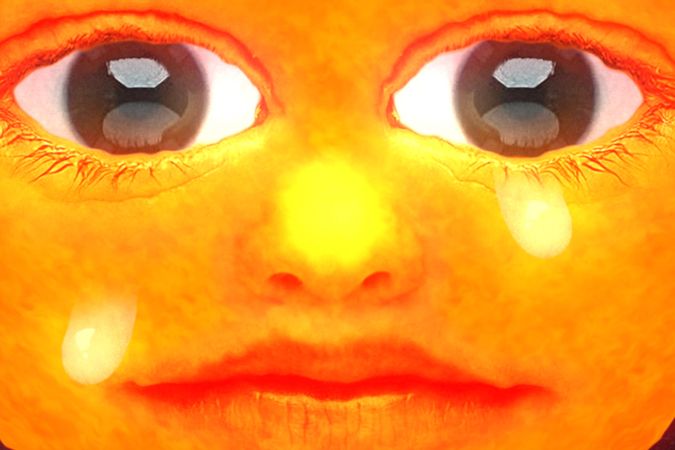 What The Sun Has Seen