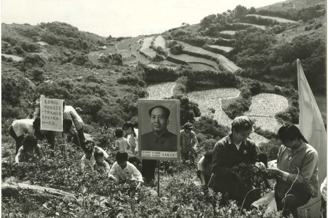 Membri dell ‘Esercito Popolare di Liberazione (PLA) aiutano i contadini nella raccolta delle erbe medicinali sulle montagne della provincia di Kwangtung