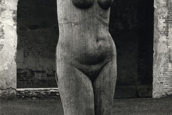 Grande torso femminile