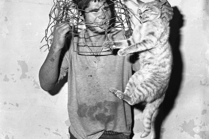 Cat Catcher