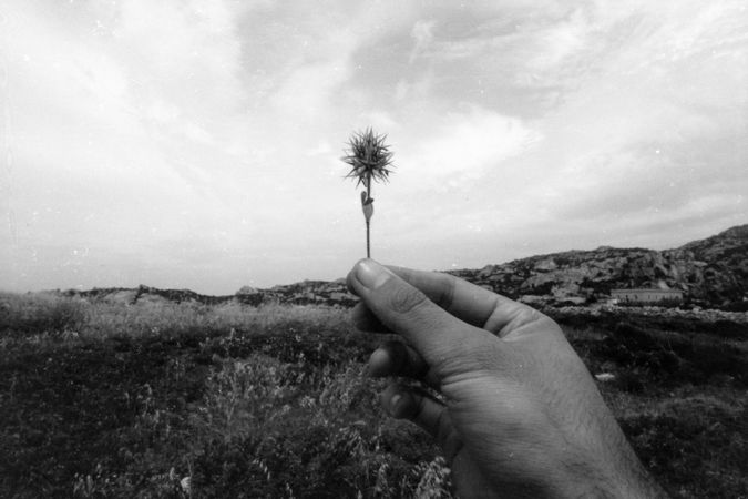 Sardegna, Maggio 1974