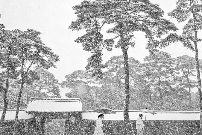 Paesaggio dei Meiji shrine