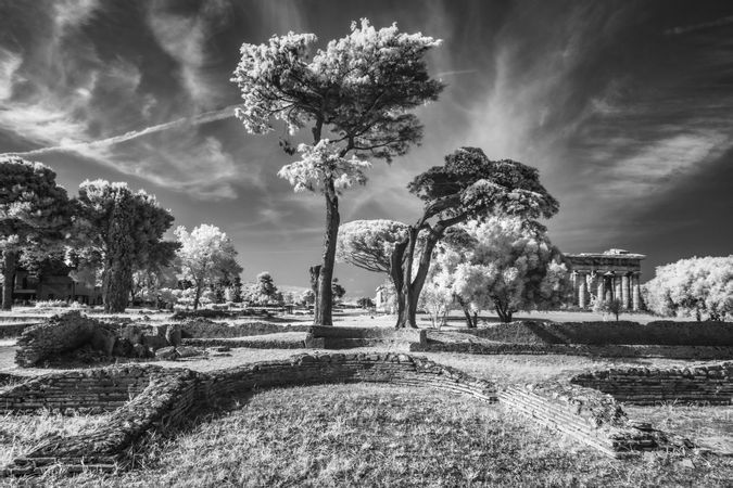 Giardino Romano