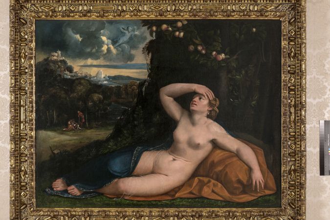 Il risveglio di venere