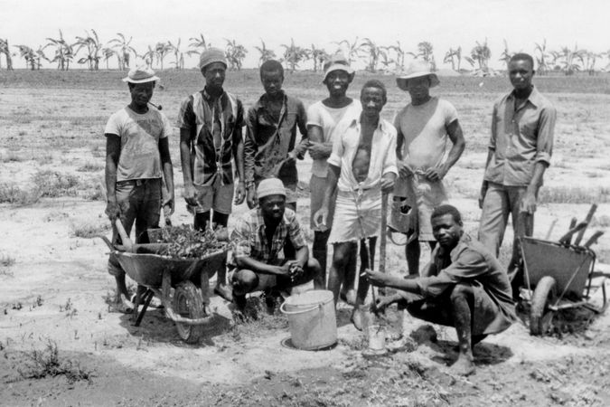 Planting trees in Somankidi Coura