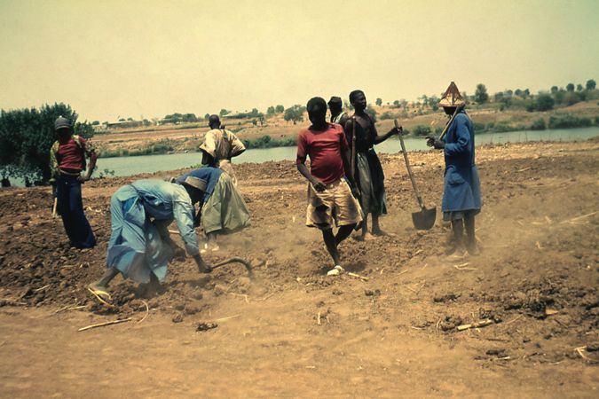 Preparation of the land, cooperative of Somankidi 