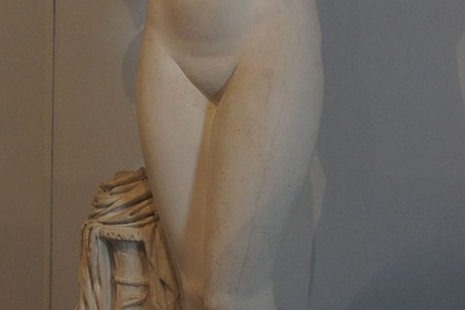 calco di statua, Venere dell’Esquilino 