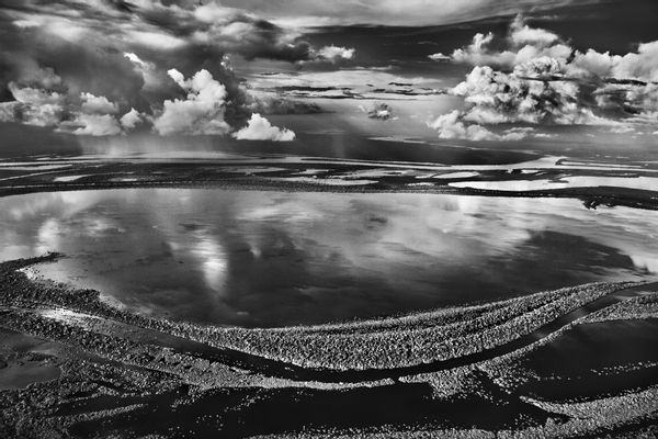 Anavilhanas, isole boscose del Río Negro. Stato di Amazonas, Brasile