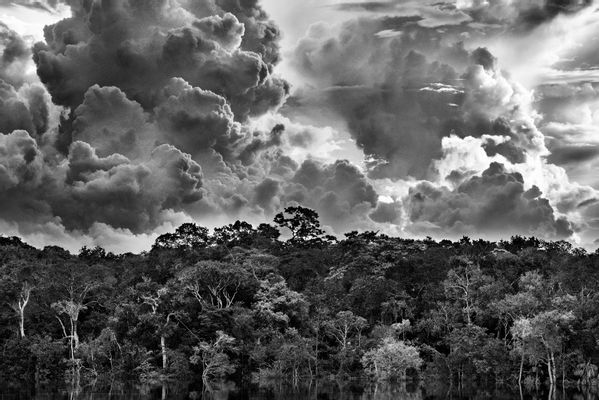 Arcipelago fluviale di Mariuá. Rio Negro. Stato di Amazonas, Brasile