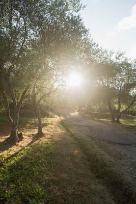 Nel giardino della Pieve dei Santi Nazario e Celso