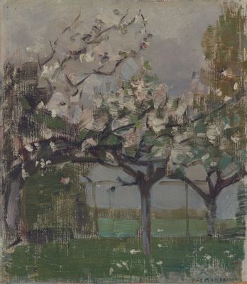 Alberi in fiore