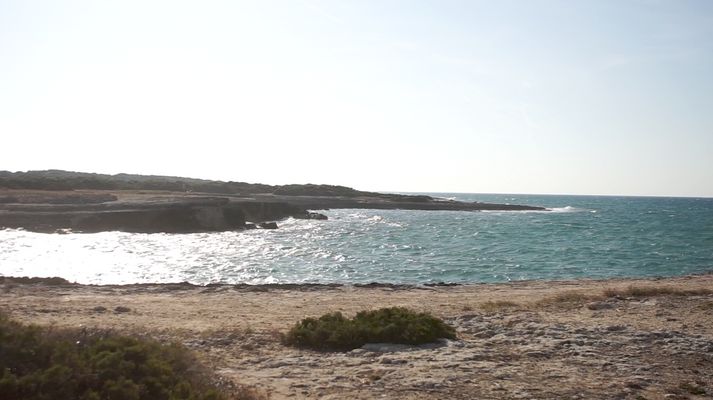 DEBRIS/DETRITI Puglia