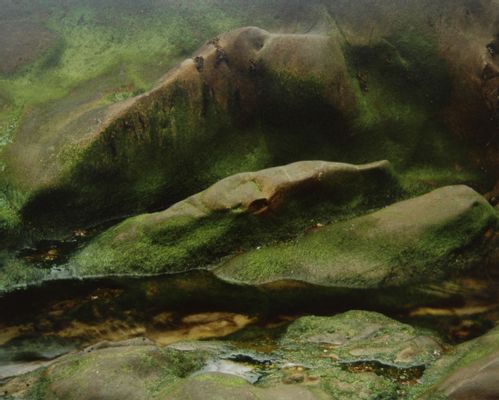 Rocks, point lobos