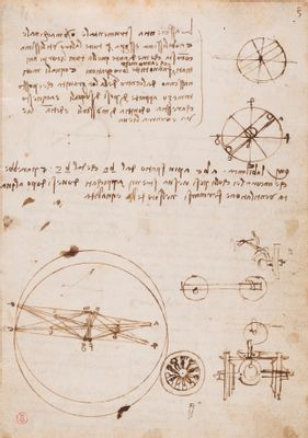 Codice sul volo degli uccelli