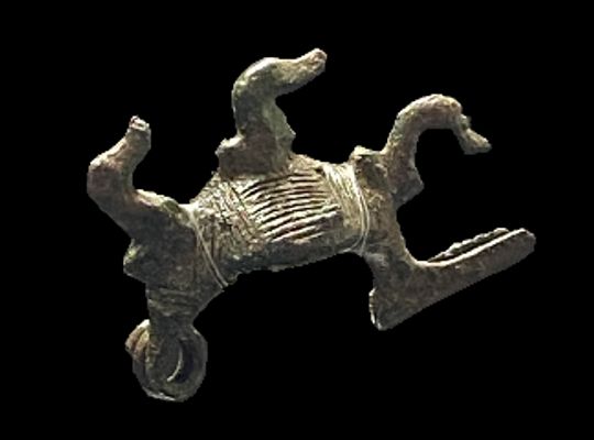 Fibula decorata da anatrelle