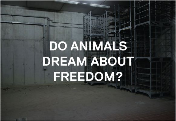 Do animals...