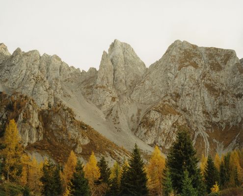 Cimone della Bagozza