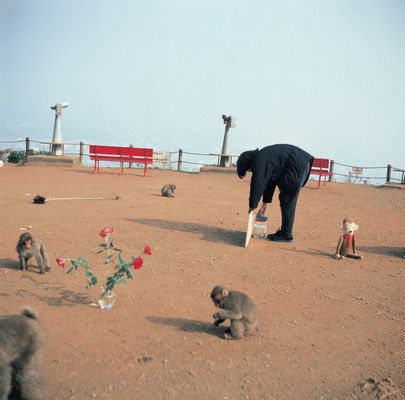 Exhibition for the Monkeys