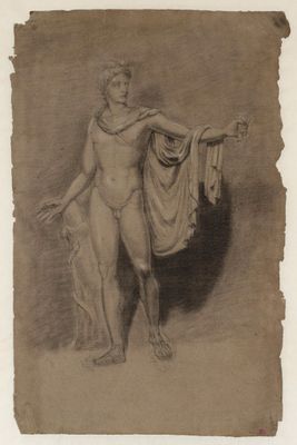 Study of the Apollo Belvedere