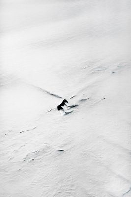 Aerials taken from a NASA P3 plane flying over South Peninsula A. Antarctic