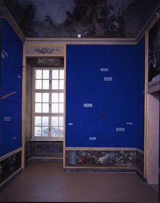 Yurupari – Rheinsberg Room