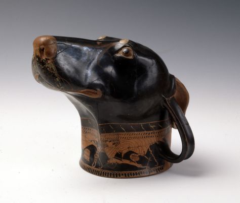  Rhyton a forma di testa di cane, terracotta