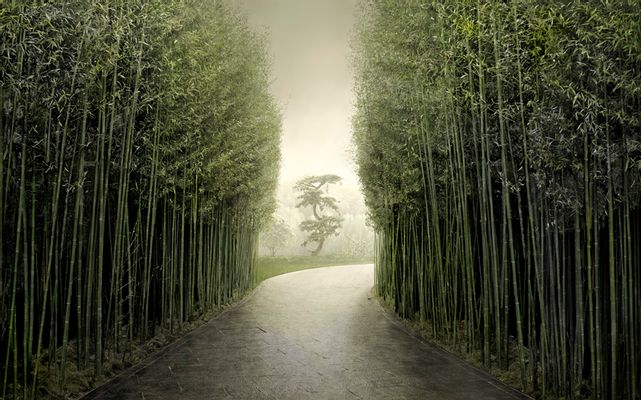 Bamboo Alley