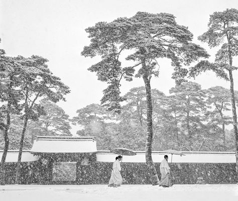 Paesaggio dei Meiji shrine