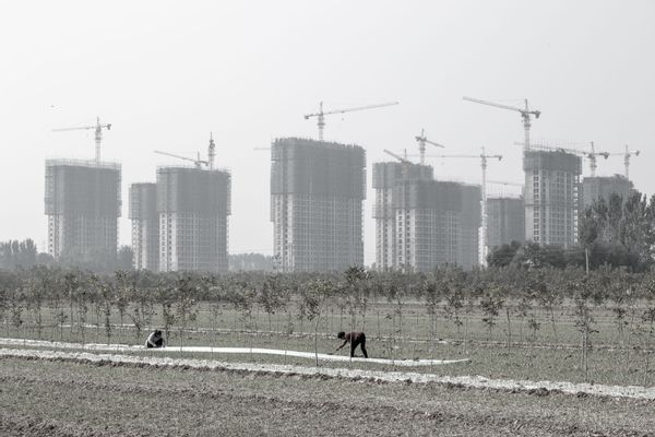 Contadine al lavoro a Zhongmu