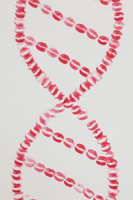 DNA Kiss