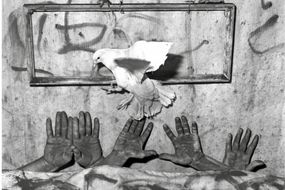 Roger Ballen