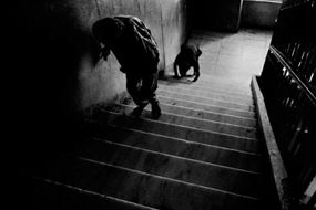 Alex Majoli. Andante