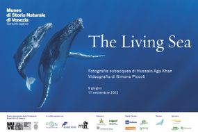 The living sea