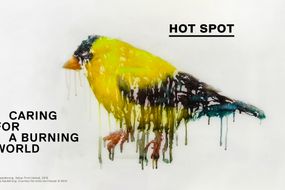 HOT SPOT