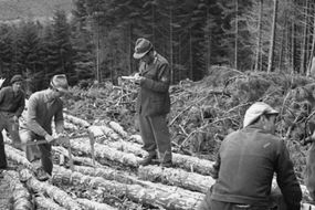 Gli uomini che piantavano alberi