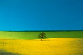 Franco Fontana