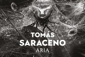 Tomás Saraceno